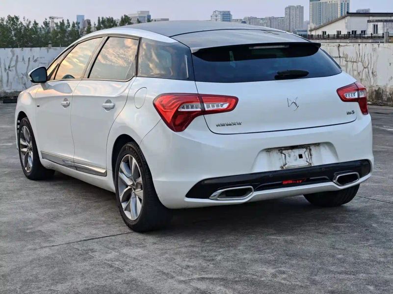 Ds 5