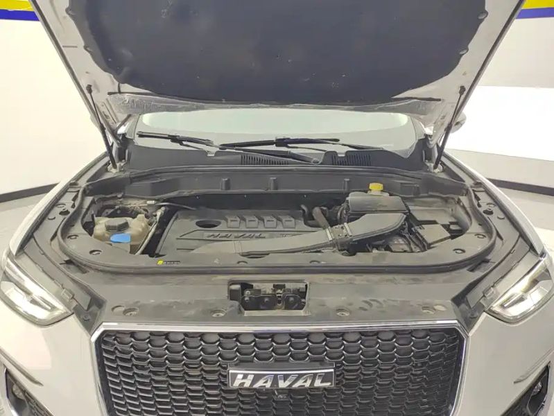 Haval F