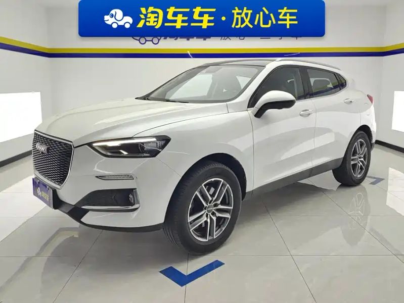 Haval F