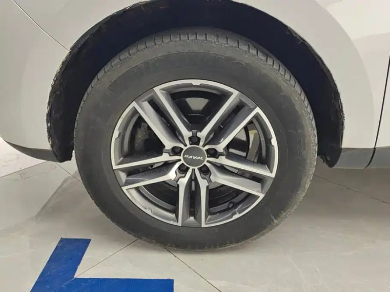 Haval F
