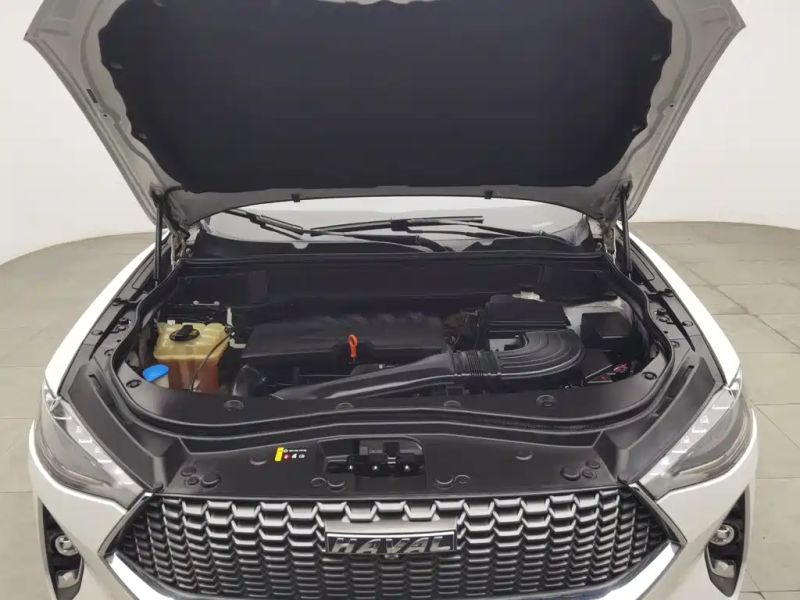 Haval F