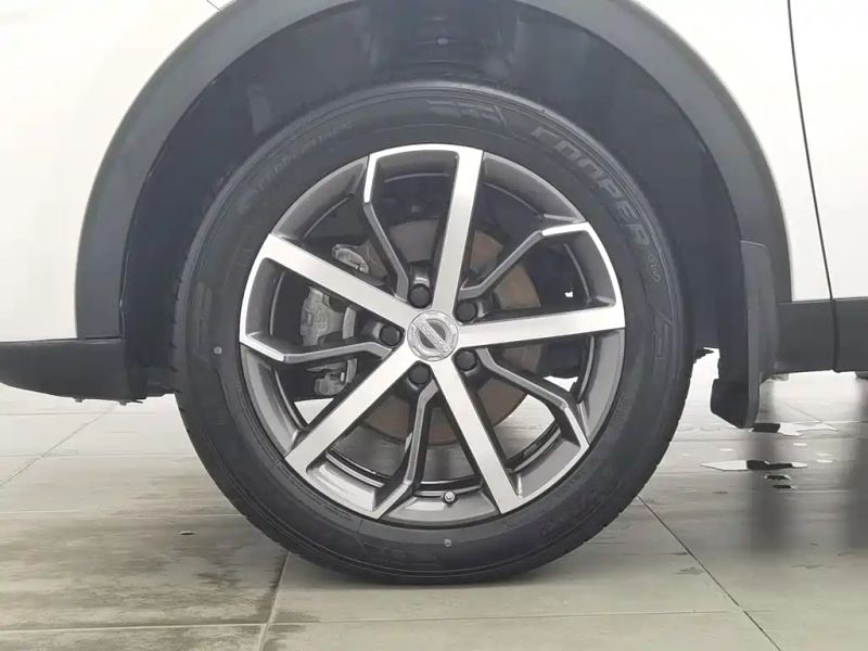 Haval F