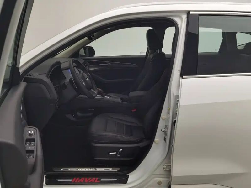 Haval F