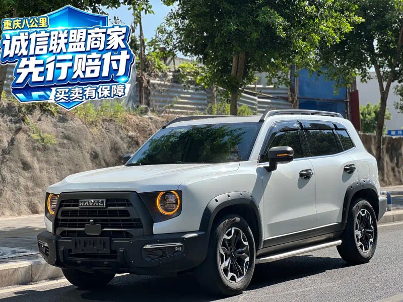 Haval Bigdog