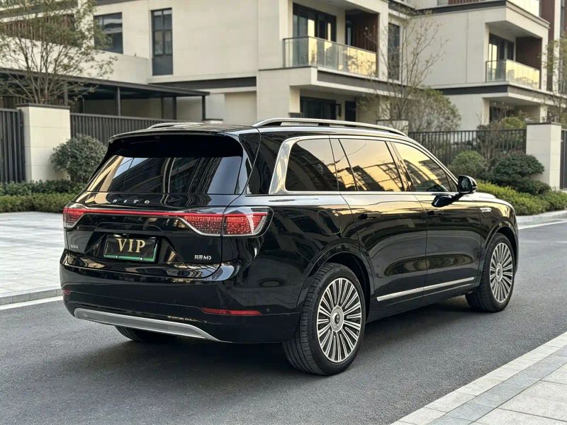 Wenjie M9