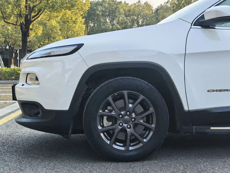Zhinanzhe Cherokee
