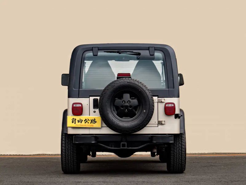Zhinanzhe Wrangler