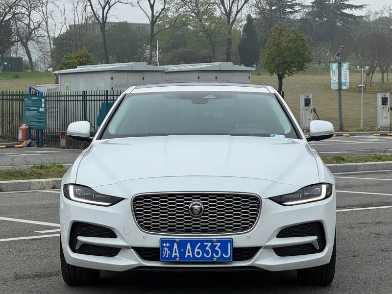 Jaguar Xel