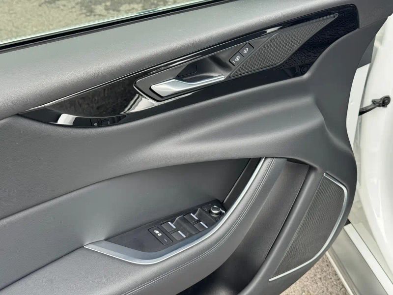 Jaguar Xel