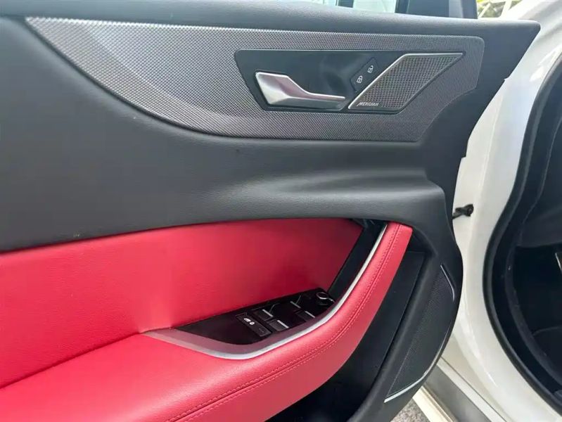 Jaguar Xel