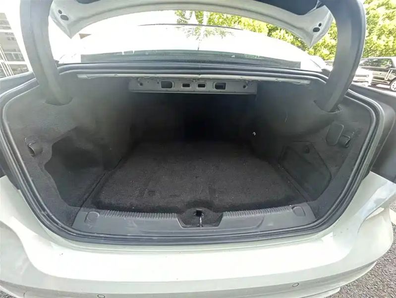Jaguar Xel
