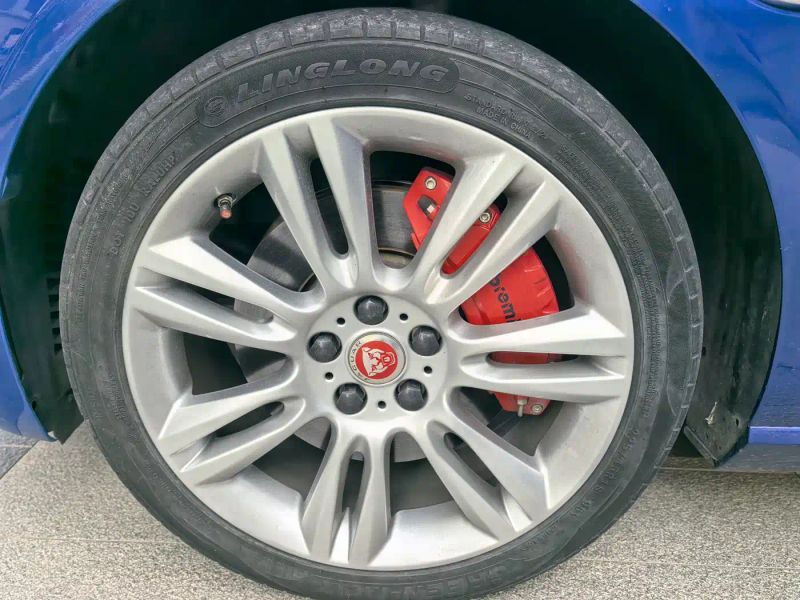 Jaguar Xel
