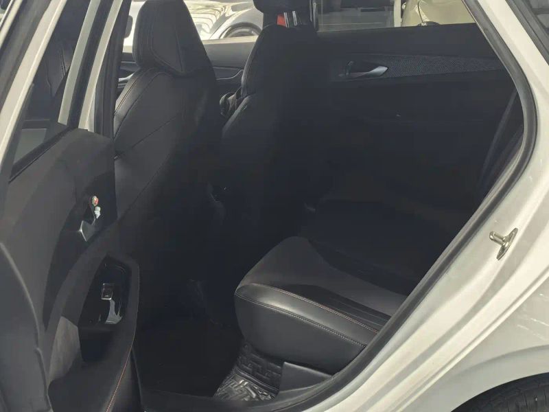 Geely Binrui